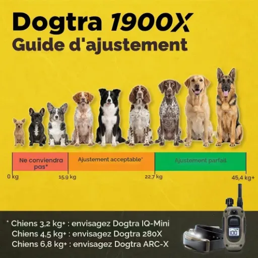 Test Dogtra 1900X Black Edition : le collier de dressage costaud pour gros chiens (à manier avec sérieux)