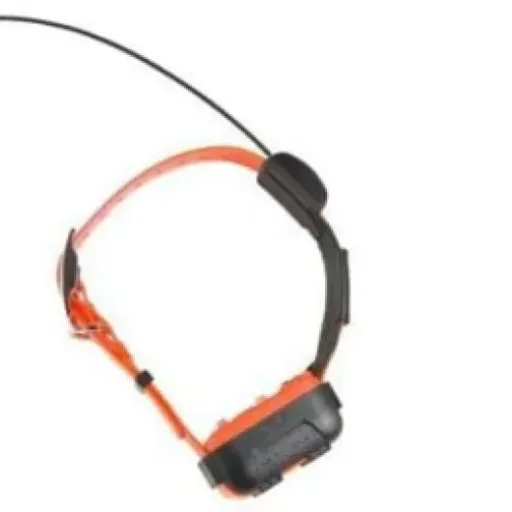 Test Num'Axes CANICOM GPS : le collier de localisation qui fait le job… quand tout marche