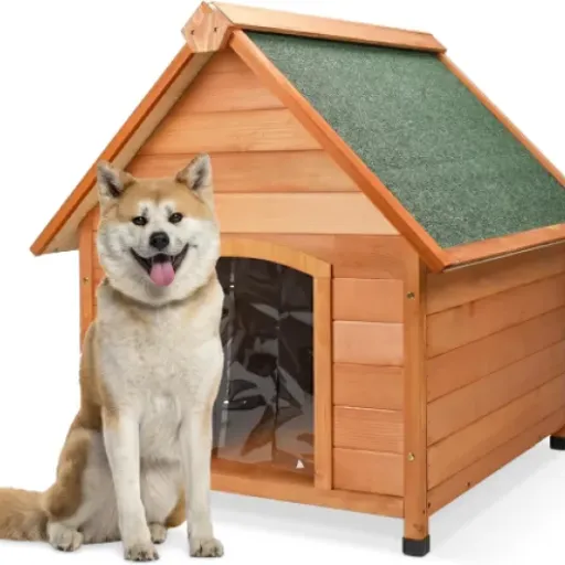 Test AQPET Niche pour Chien en Bois XL/XXL : grande, pas parfaite, mais elle fait le job