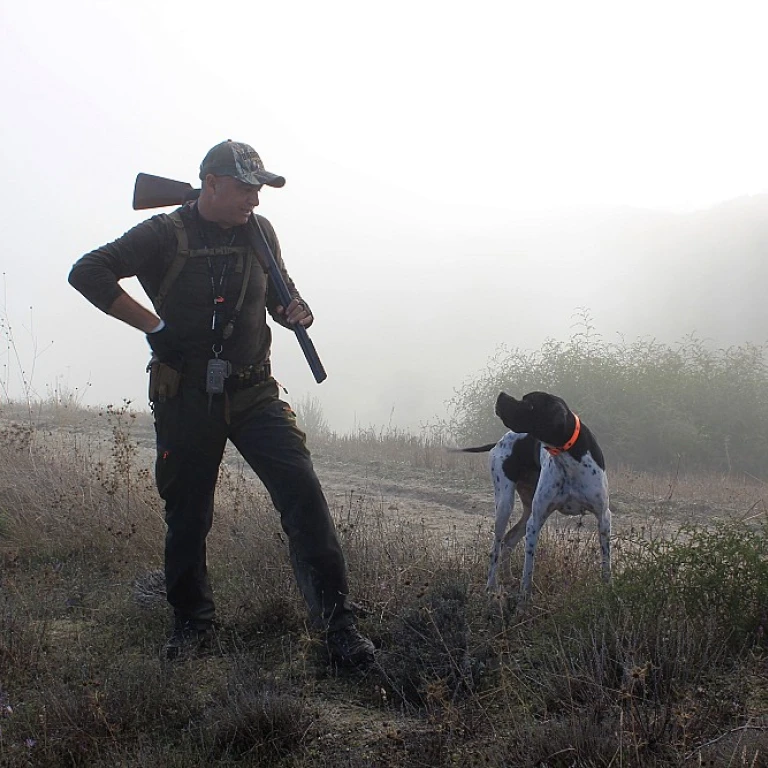 Améliorer la mobilité de votre chien de chasse avec des compléments alimentaires pour articulations