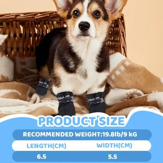 71AA8KlFIkL._AC_SL1100_