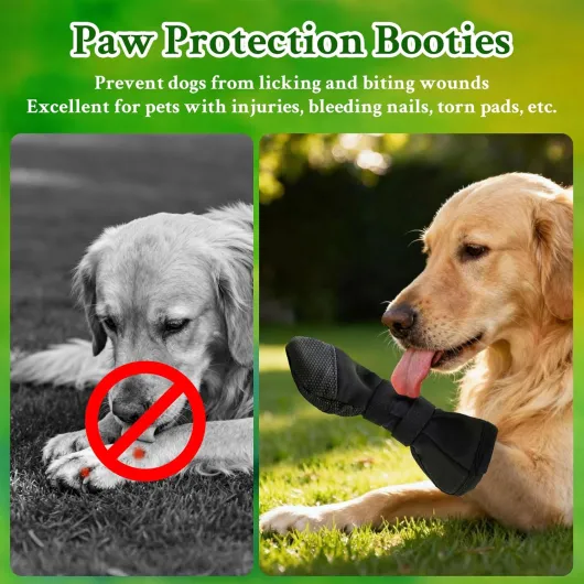 71M59fB8CQL._AC_SL1500_