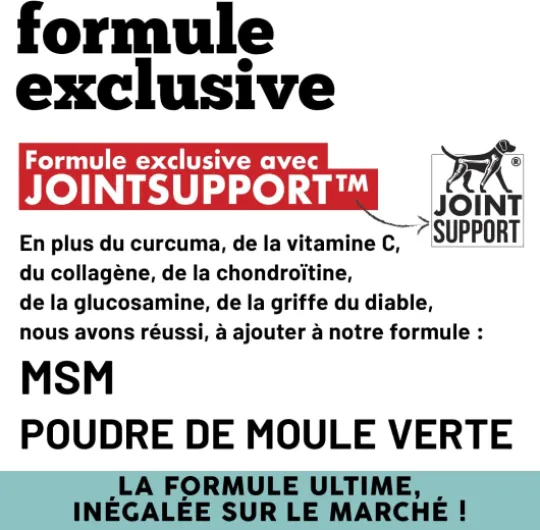 Articulations Chien Complément Alimentaire 125 Comprimés - Nouvelle Formule JointSupport avec MSM, Poudre de Moule Verte, Glucosamine et Griffe du Diable