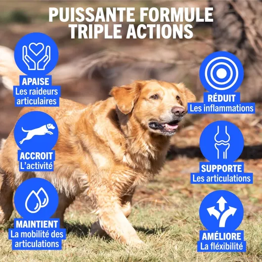 81N47SIKTXL._AC_SL1500_