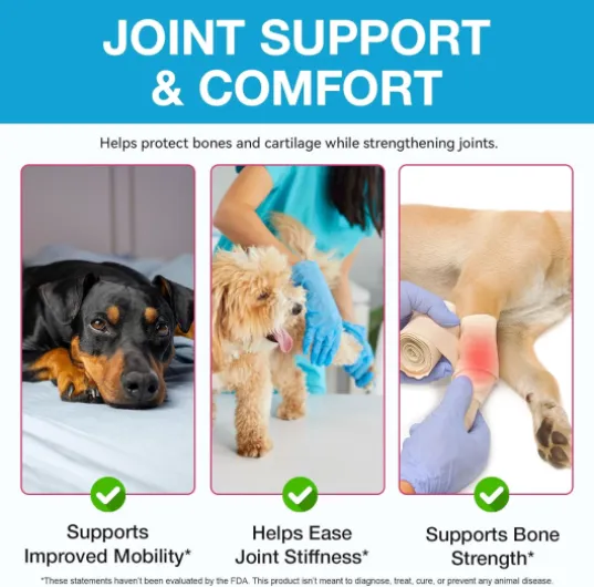 71Iob635buL._AC_SL1500_