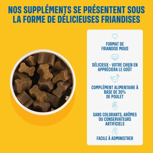 81r-dvzq5PL._AC_SL1500_