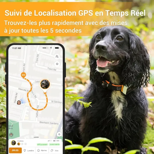 Pawfit 3 Traceur GPS pour Chiens avec Suivi en Direct, Alertes Intelligentes Multiples, Moniteur d'Activité Étanche pour Chats, Portée Illimitée, Rappel Vocal à Distance, Adaptable à Tous les Colliers White
