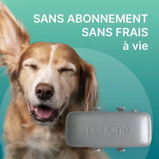 Traceur GPS Pet Basic pour Animaux sans Abonnement - Mini Traceur Chien & Chat, Étanche Collier GPS - Fonctionne dans Un Pays Européen au Choix
