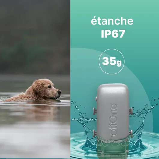 712JTCIwjkL._AC_SL1500_