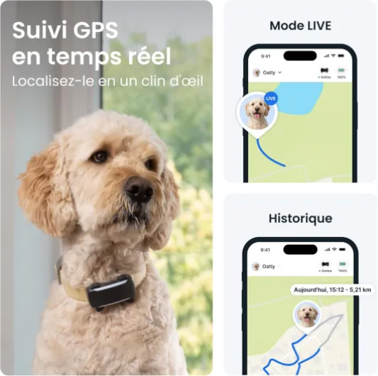 Tracker GPS intelligent XL pour chien - Modèle 2026 - Localisation GPS en direct - Alarme de course et avertissements de santé - Surveillance des signes vitaux - Longue durée de vie de la