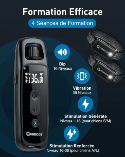 Collier de Dressage pour Chien - Veilleuse et 4 Modes de Dressage, Bip, Vibration et Stimulation, IPX7 étanche Rechargeable Collier Electrique 2 Chiens pour Petits et Grands Chiens (6-55 kg) Noir