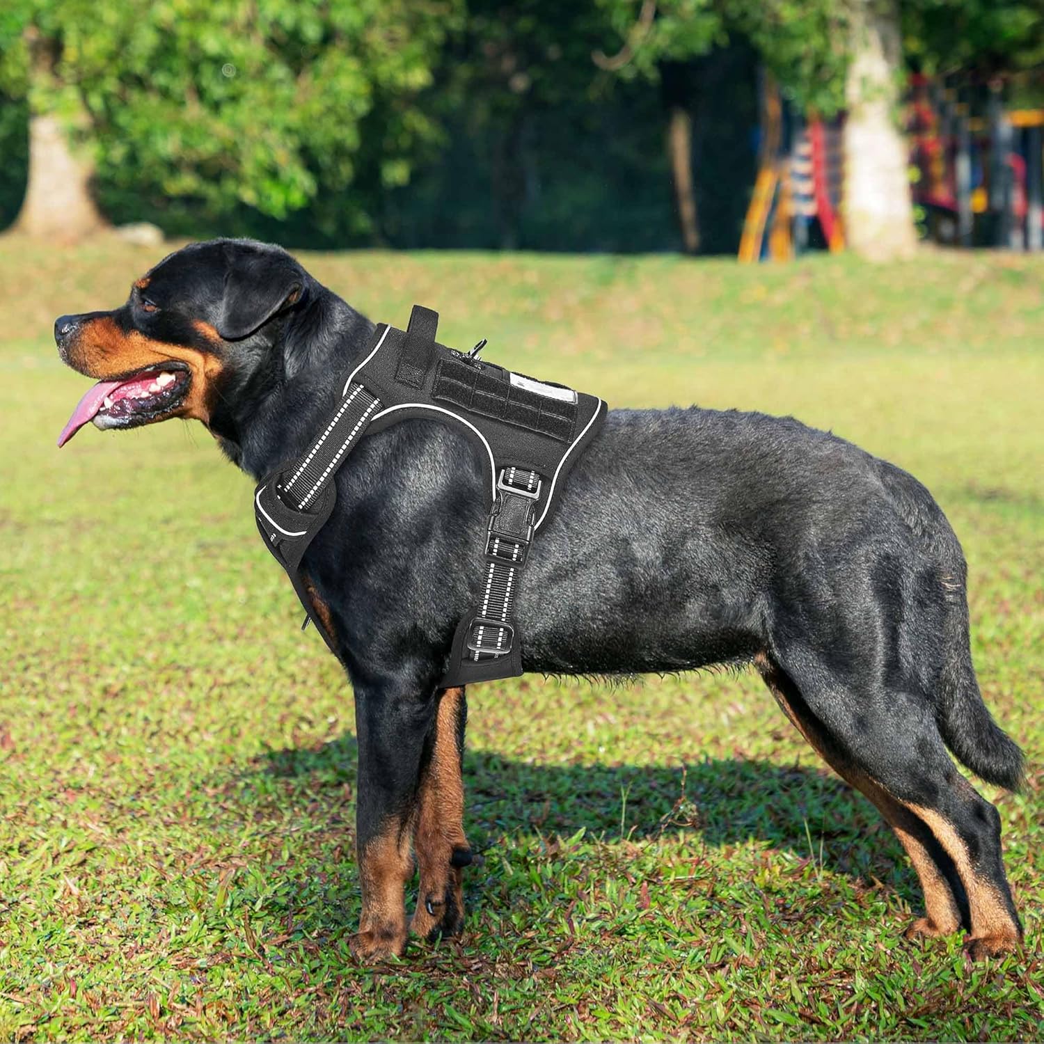 Haapaw Harnais tactique robuste pour grands chiens, sans traction, harnais réglable pour animaux de compagnie, réfléchissant, service, entraînement, contrôle facile, gilet pour animaux de compagnie L Noir