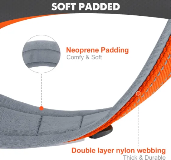 Collier Chien, Réglable Moyens Collier pour Chien Rembourré, Bandes Réfléchissant, Orange, M M (1er Pack) Orange