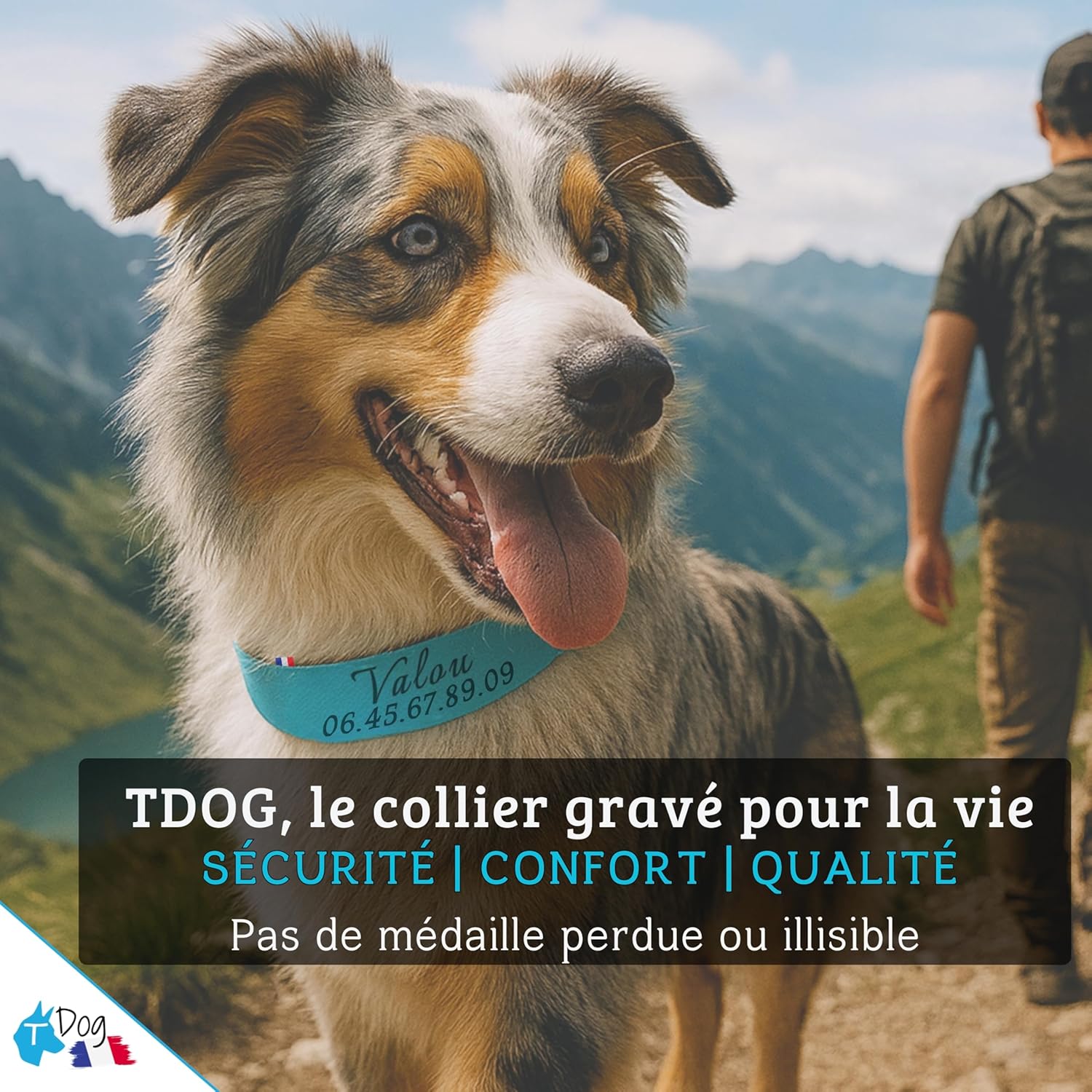 Collier Chien personnalisé Biothane - Fait Main France - Collier gravé au Laser - Gravure prénom et numéro téléphone - Sport Chasse Rando - Collier étanche et résistant pour Chien - TDOG (Jaune) JAune S - M ou L - Cliquez sur Personnaliser maintenant
