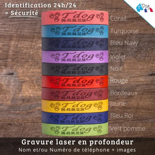 91xFOrU4qxL._AC_SL1500_