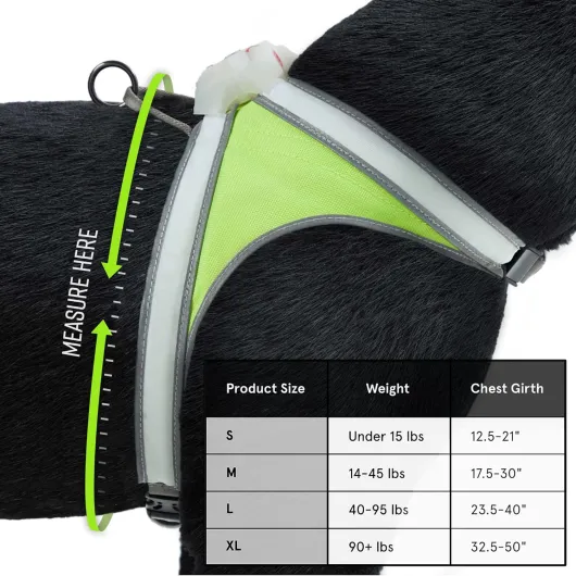 Noxgear LightHound – Harnais révolutionnaire Lumineux réfléchissant Chiens, Comprenant Fibres optiques LED Multicolores (Rechargeable par USB, réglable, léger, résistant à la Pluie) (Taille Moyenne) Harnais LightHound Moyen
