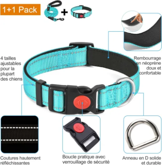 Haapaw Collier pour Chien réfléchissant rembourré en néoprène Souple et Respirant, réglable en Nylon pour Petits, Moyens et Grands Chiens XS, 24-31.7cm Turquoise