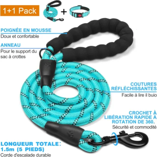 81r84OoO6eL._AC_SL1500_
