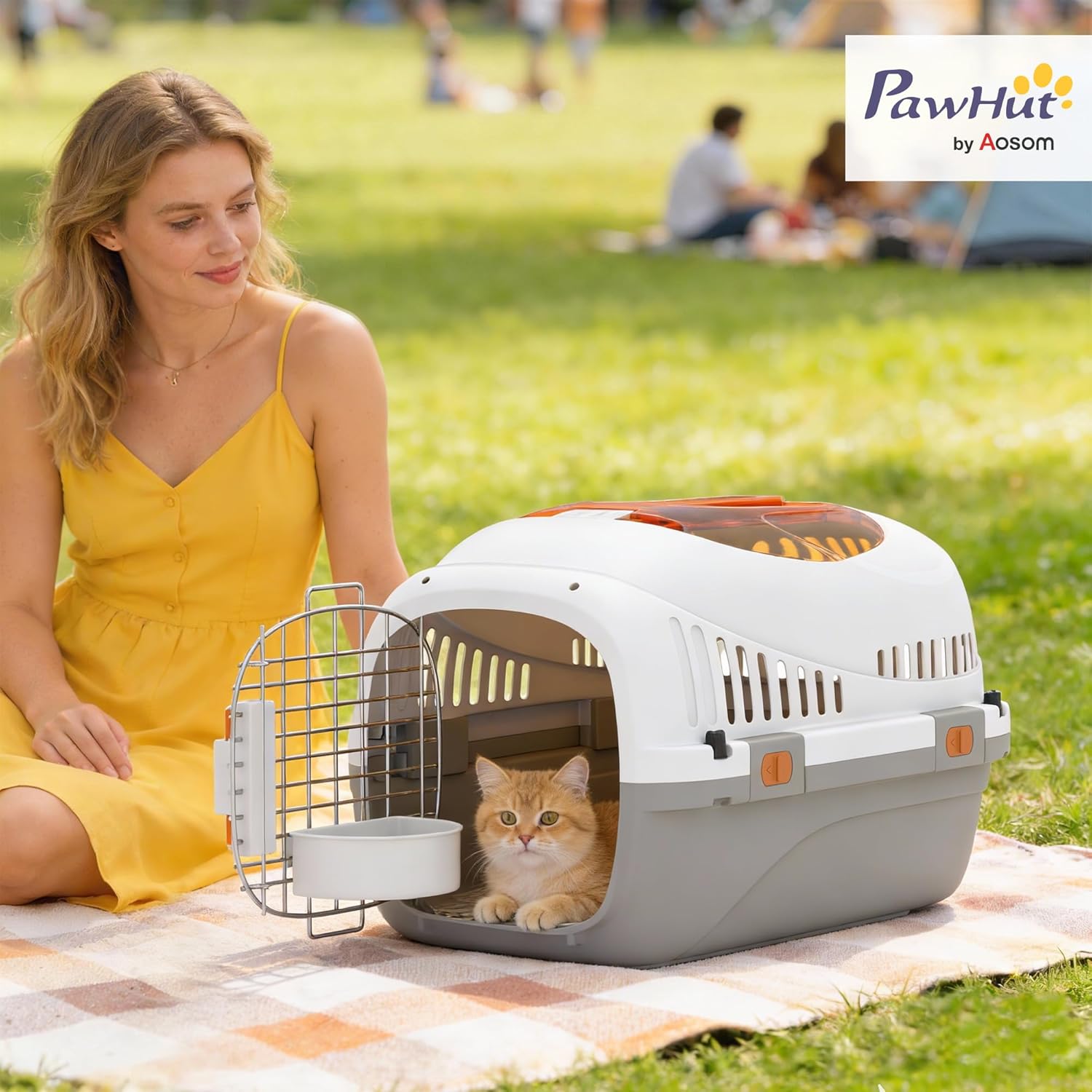 Caisse de Transport Chat et Chien, Cage de Transport pour Chats et Petits Chiens jusqu'à 4 kg, Porte Acier, Bol de Nourriture, Fermeture sécurisée, 49 x 32 x 31 cm, Gris et crème