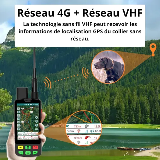 81cQ9rF7J3L._AC_SL1500_