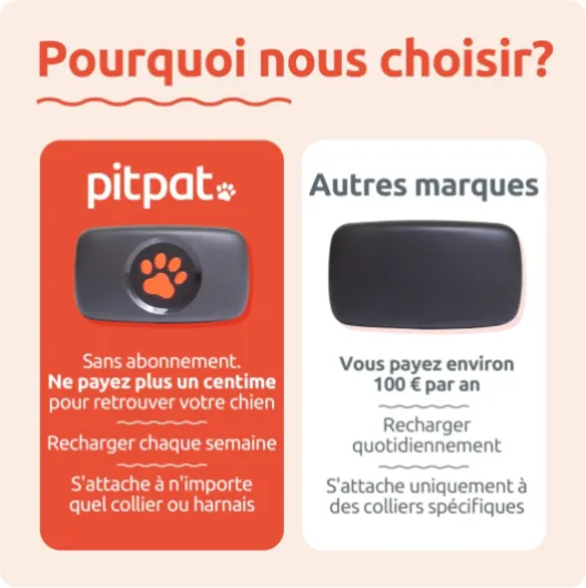 PitPat Traceur GPS pour Chien - Convient à Tous Les Chiens et se Fixe au Collier Noir