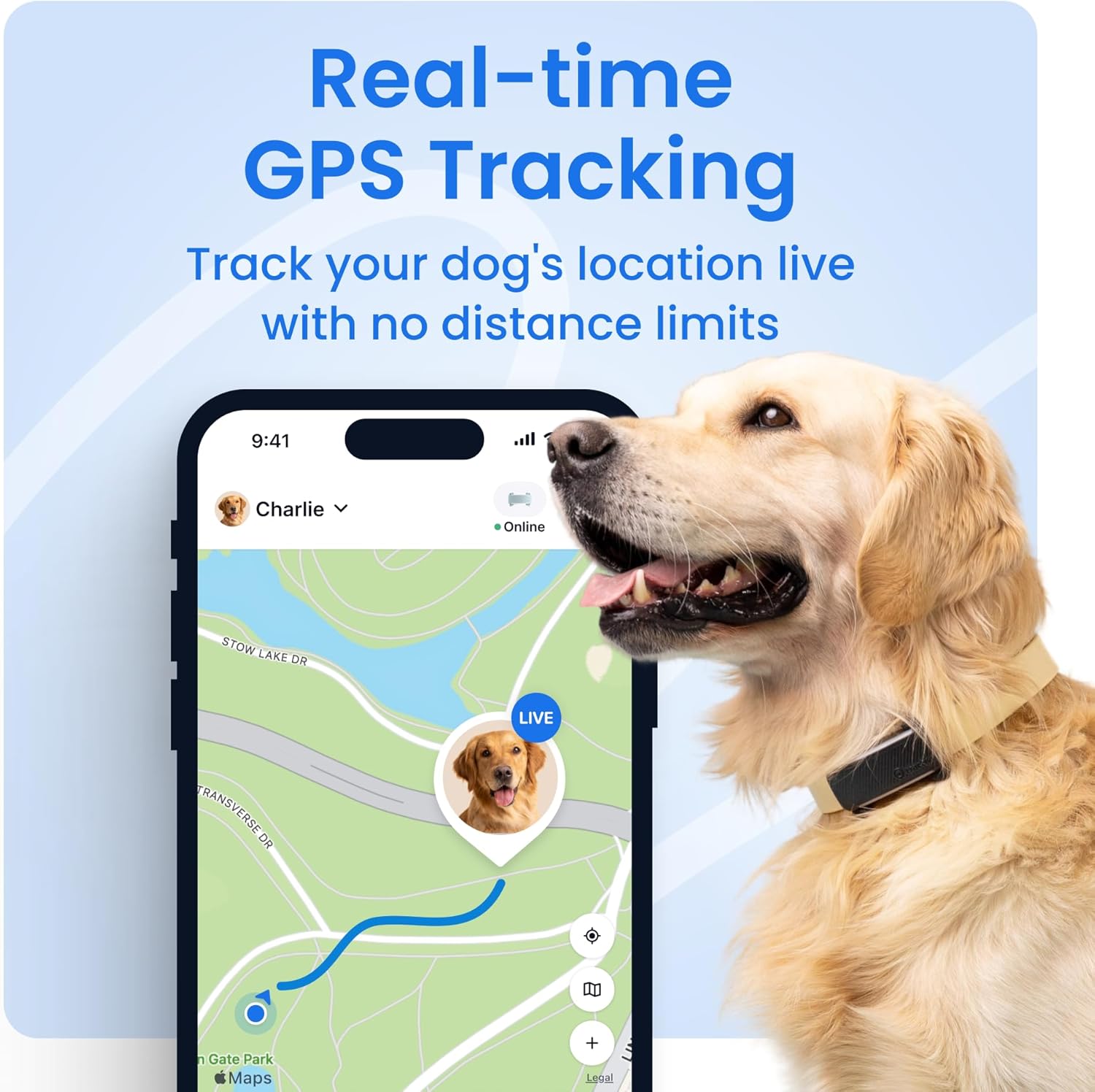 Collier GPS pour chien - 2025 Édition - Leader du marché - Localisation en direct - Alertes anti-fugue - Moniteur d'activité et d'aboiements - Alertes de santé (Marron)