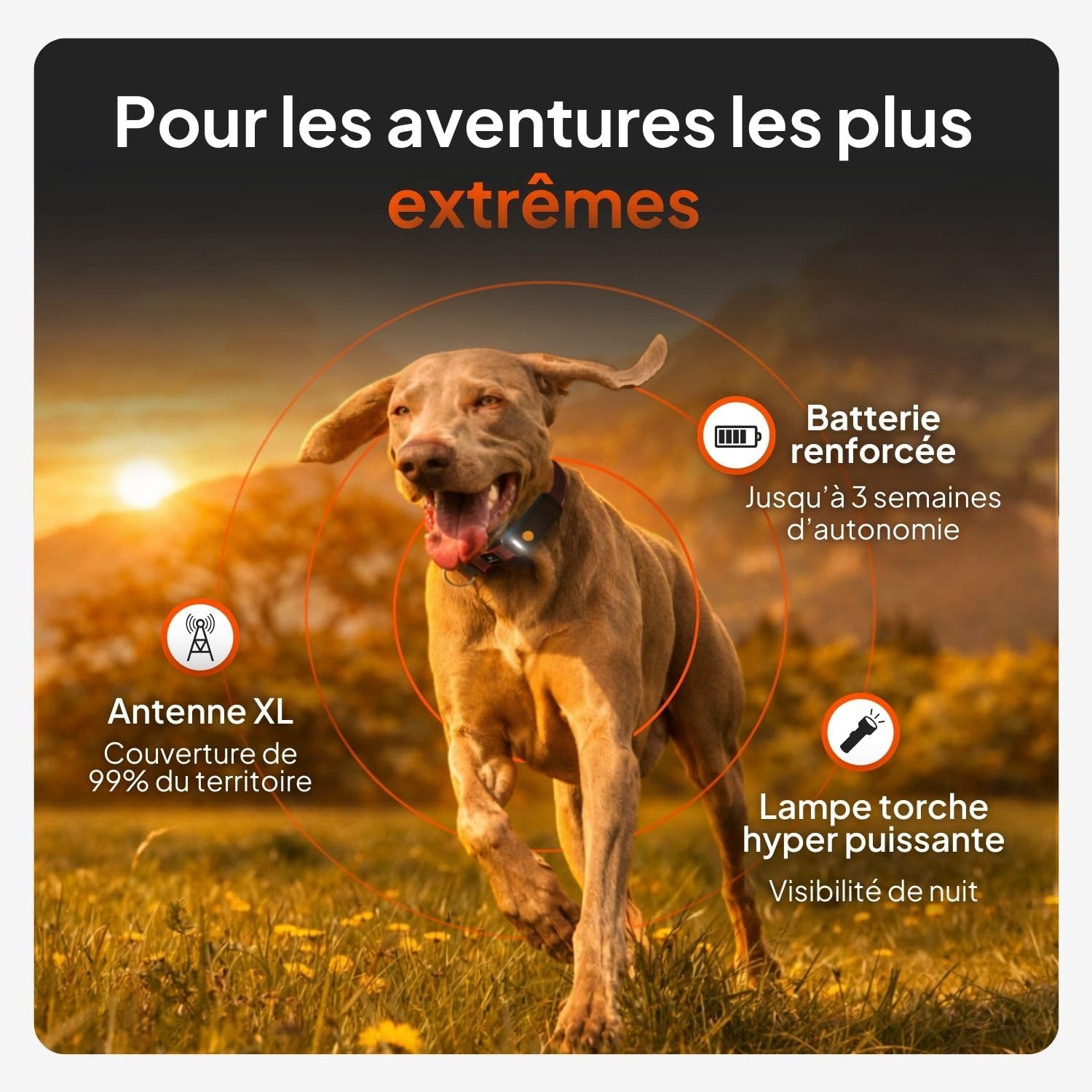 Chien XT - Nouveau Collier GPS pour Chien - Antenne XL - Etanche - Collier Hyper résistant intégré Julius-K9 - Garantie à Vie - Abonnement requis (Rouge) Rouge Traceur XT - Avec collier