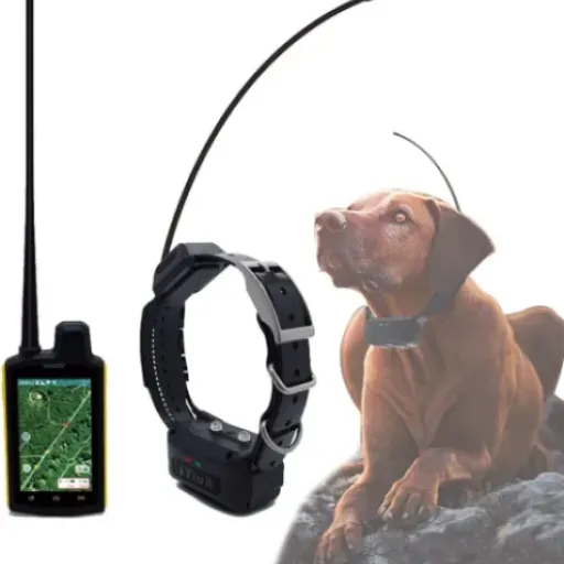 Test Traqueur GPS pour chiens de chasse (3 colliers) : le kit qui veut remplacer Garmin sans exploser le budget