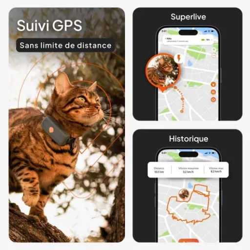 Test Weenect Chat XS : le petit GPS qui rassure les humains stressés