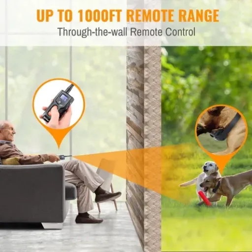 Test Petrainer PET916 : le collier de dressage qui fait le job sans ruiner ton budget