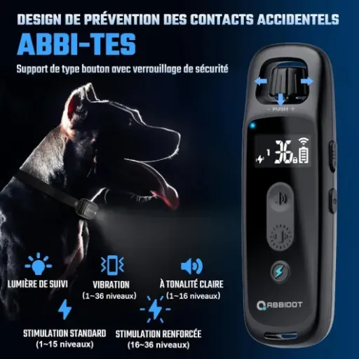 Test ABBIDOT T30 : le collier de dressage qui calme le jeu sans te prendre la tête