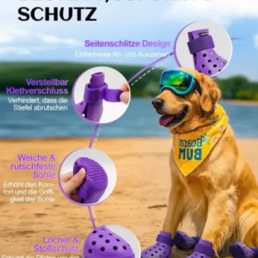 Test chaussures pour chien trottoir chaud (XL violet) : ça protège les coussinets sans trop galérer à les mettre