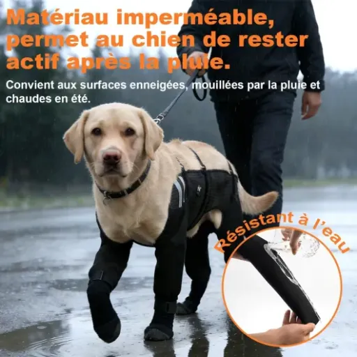 Test COODEO Chaussettes Imperméables pour Chien : le truc pratique pour garder les pattes propres (et les plaies protégées)