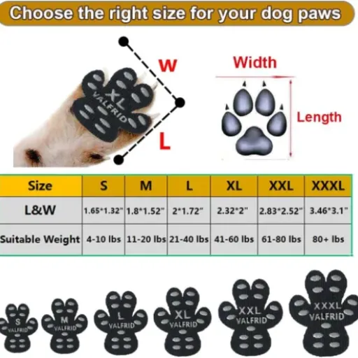 Test VALFRID Protecteur de Patte de Chien : des “chaussettes autocollantes” utiles mais pas magiques