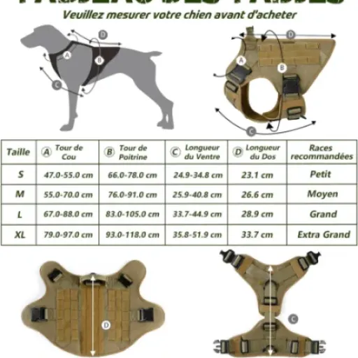 Test Harnais Tactique rabbitgoo L : le gilet costaud pour gros chiens qui tirent