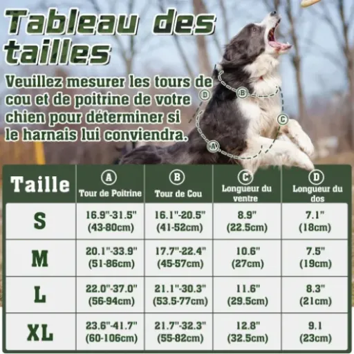 Test rabbitgoo Harnais Chien Anti Traction : un harnais tactique qui tient bien le chien sans le gêner