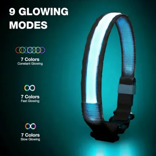 Test PcEoTllar Collier Lumineux Chien : enfin un collier LED qu’on voit vraiment dans le noir