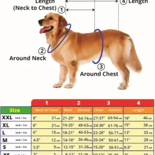 Test gilet réfléchissant Funtone Colors : le gilet fluo qui fait bien voir ton chien sans se ruiner
