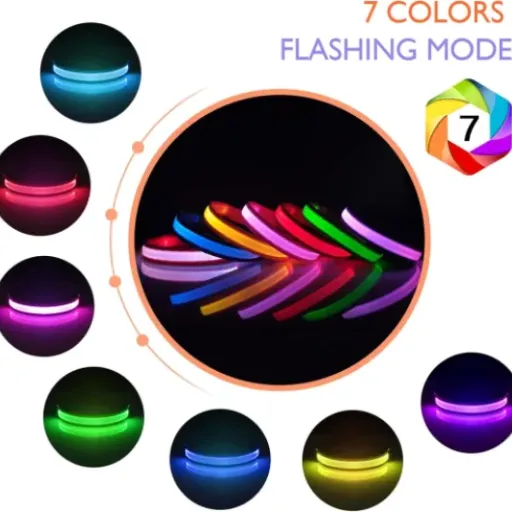 Test PcEoTllar Collier Lumineux Chien : un collier LED pratique pour sécuriser les balades de nuit
