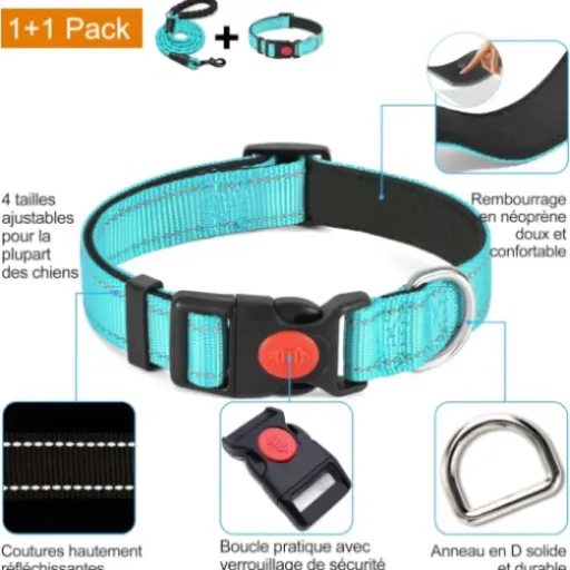 Test Haapaw Collier pour Chien : un set collier + laisse simple qui fait le job au quotidien