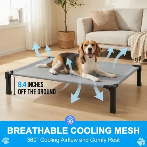 Test Niubya Lit pour Chien Surélevé : le lit de camping qui fait le taf sans chichis