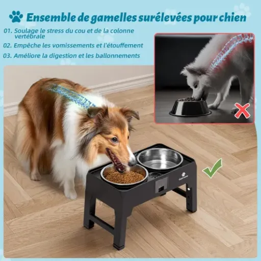Test GUUSII HOME Gamelle Surélevée 2000 ml : la station de bouffe qui soulage le dos des gros chiens