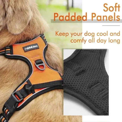 Test rabbitgoo Harnais Chien XL : un harnais anti-traction simple qui fait le job pour les gros chiens