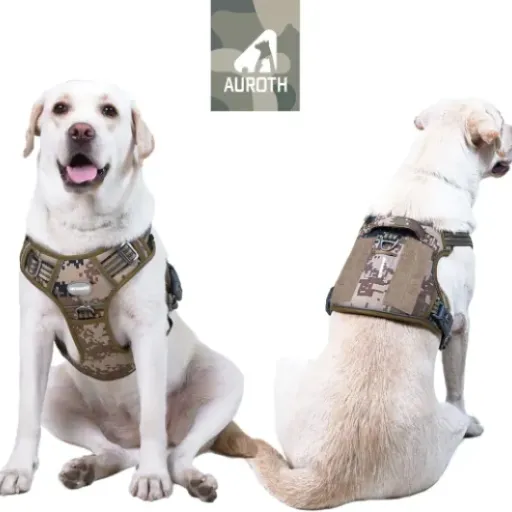 Test Harnais Tactique Auroth L : un harnais costaud pour chiens moyens et grands qui tirent un peu (ou beaucoup)