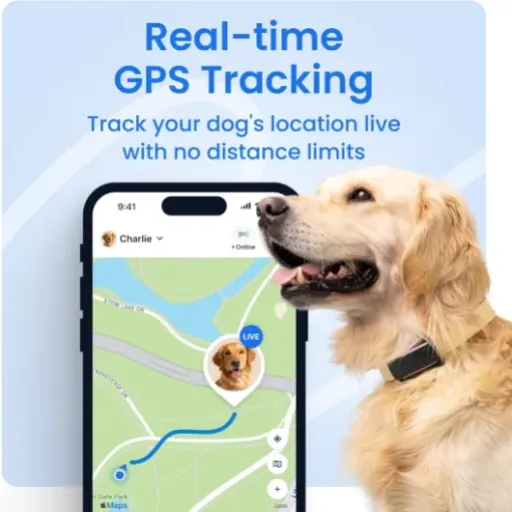 Test Tractive Collier GPS chien 2025 : fiable pour retrouver son chien, mais pas donné sur la durée