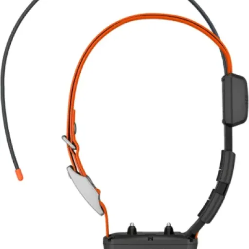 Test Garmin Alpha TT 25 : le collier GPS sérieux pour ceux qui veulent vraiment suivre et cadrer leur chien