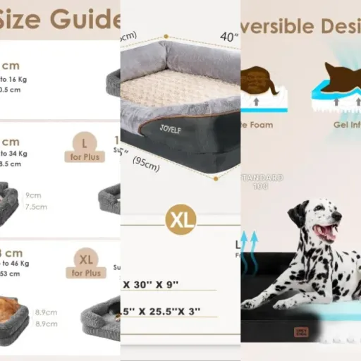 Top 6 : meilleurs couchages robustes premium (mai 2026)