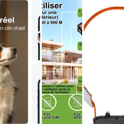 12 meilleurs colliers GPS pour chien de chasse : notre comparatif (mai 2026)
