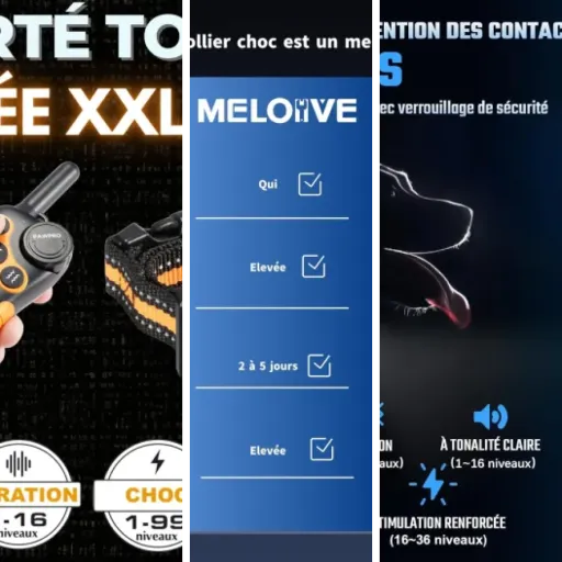 Quel colliers de dressage usage professionnel choisir ? Top 5 (mai 2026)