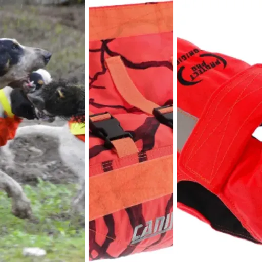 8 meilleurs gilets anti-perforation sanglier : notre comparatif (mai 2026)